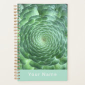 Calm Green sukkulente Pflanze Planer (Vorderseite)