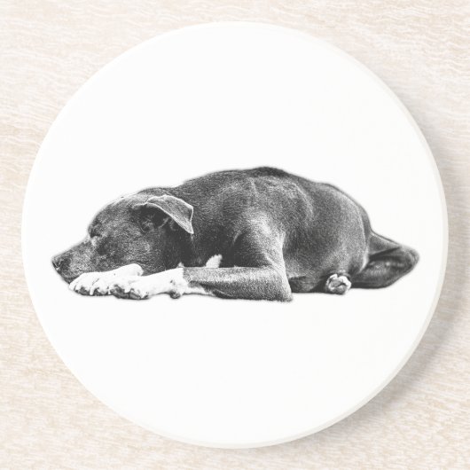 Calm Pitbull Mix Lying Pose Untersetzer (Vorne)