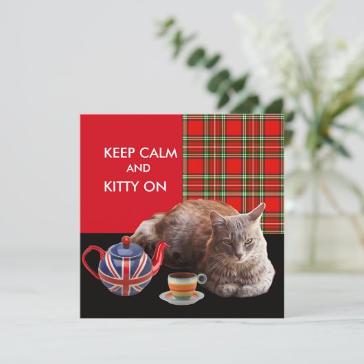 "CALM UND KITTY ON BEHALTEN" ,RED TARTAN,CAT TEE-P EINLADUNG (Stehend Vorderseite)