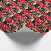 "CALM UND KITTY ON BEHALTEN" ,RED TARTAN,CAT TEE-P GESCHENKPAPIER (Ecke)