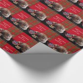 "CALM UND KITTY ON BEHALTEN" ,RED TARTAN,CAT TEE-P GESCHENKPAPIER (Ecke)