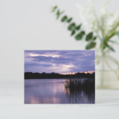 Calm Waters Postkarte (Stehend Vorderseite)