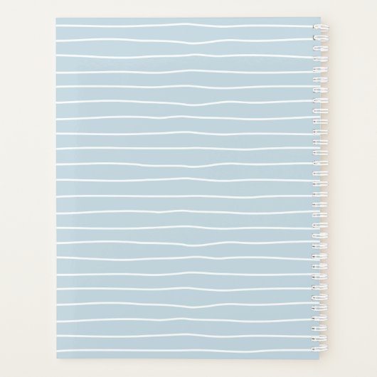 Calming Pastel Blue Ocean Waves Geometric Linear Planer (Rückseite)