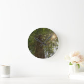 Calming Sequoia With Sunburst Nature Photo Runde Wanduhr (Zuhause)