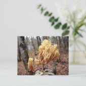 Calocera Viskosa Postkarte (Stehend Vorderseite)