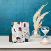 Calsap Rhododendrons Fotoplatte (InSitu)