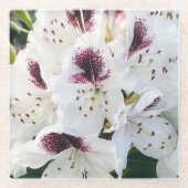 Calsap Rhododendrons Glasuntersetzer (Vorderseite)