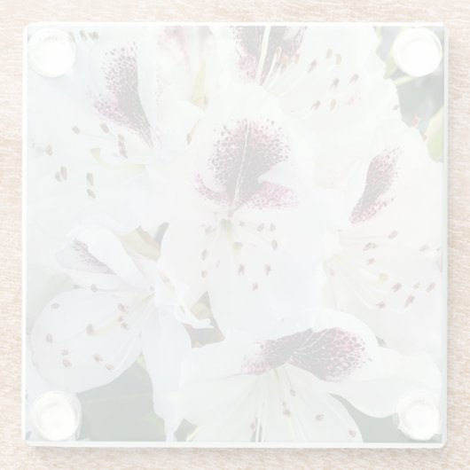 Calsap Rhododendrons Glasuntersetzer (Rückseite)