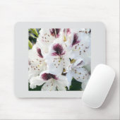 Calsap Rhododendrons Mousepad (Mit Mouse)
