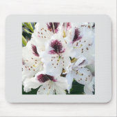 Calsap Rhododendrons Mousepad (Vorne)