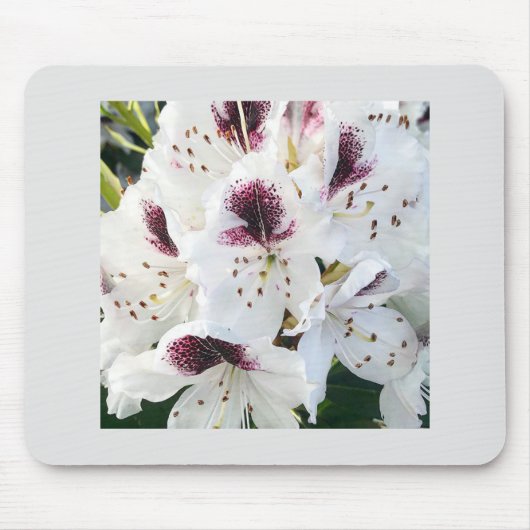 Calsap Rhododendrons Mousepad (Vorne)
