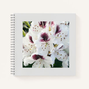 Calsap Rhododendrons Notizblock