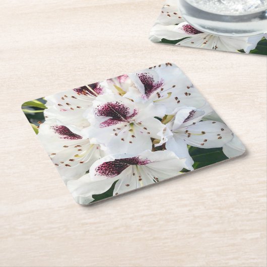 Calsap Rhododendrons Rechteckiger Pappuntersetzer (angewinkelt)