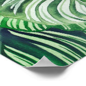 Calthea Orbifolia Poster (Ecke)