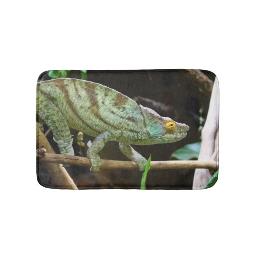 Calumma Parsonii Badematte (Vorderseite)