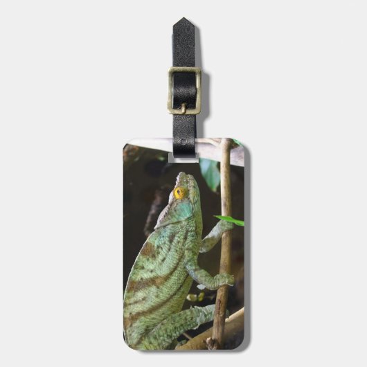 Calumma Parsonii Gepäckanhänger (Vorderseite vertikal)