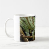 Calumma Parsonii Kaffeetasse (Links)