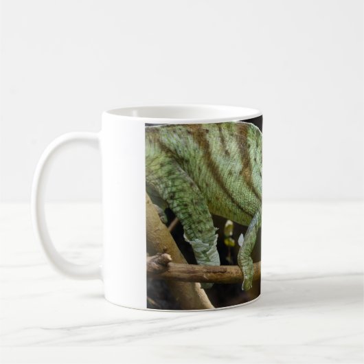 Calumma Parsonii Kaffeetasse (Links)