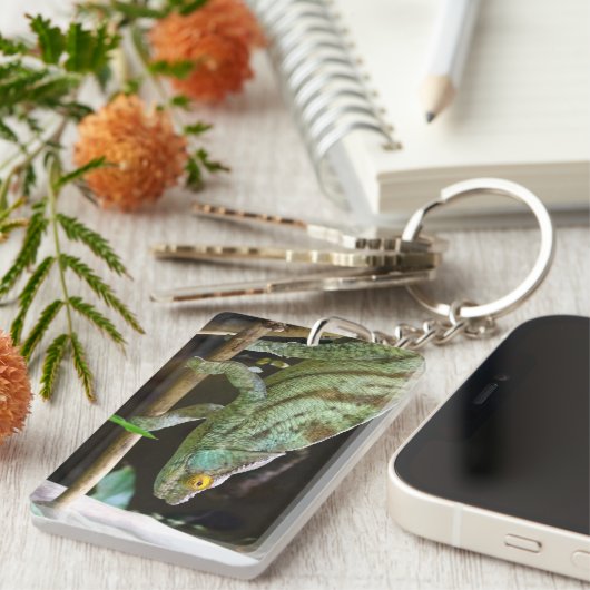 Calumma Parsonii Schlüsselanhänger (Vorderseite rechts)