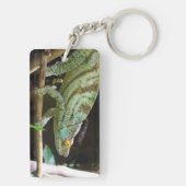 Calumma Parsonii Schlüsselanhänger (Rückseite)