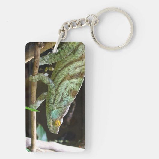 Calumma Parsonii Schlüsselanhänger (Rückseite)