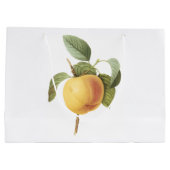 Calville Apfel (Malus-SP.) durch Redouté Große Geschenktüte (Rückseite)