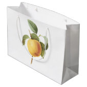Calville Apfel (Malus-SP.) durch Redouté Große Geschenktüte (Rückseite Schrägansicht)