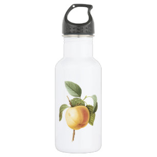 Calville Apfel (Malus sp.) von Redouté Trinkflasche