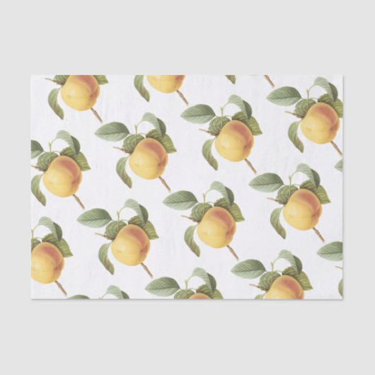 Calville Apfelmuster Seidenpapier (Vorderseite)