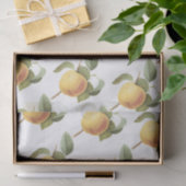 Calville Apfelmuster Seidenpapier (Geschenk)