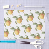 Calville Apfelmuster Seidenpapier (Handwerk)