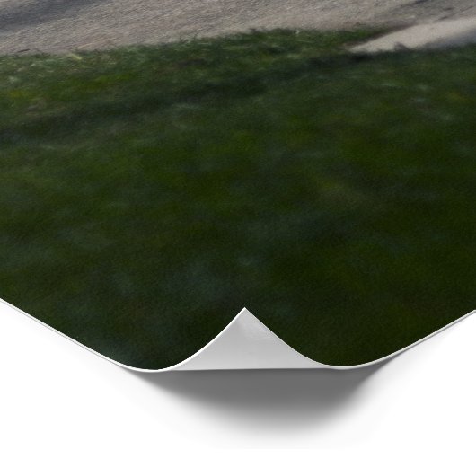 Calvin's 370z poster (Ecke)