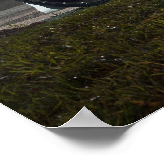 Calvin's 370z poster (Ecke)