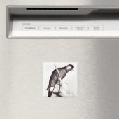 Calyptorhynchus Baudinii oder Baudins Cockatoo Magnet (In Situ (Geschirrspüler))