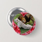 cam-zabu-00007-85x85 button (Vorne & Hinten)