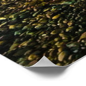 Camano Island Staat Park Editable Text and Foto Poster (Ecke)