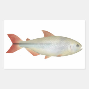 Camapuã Rechteckiger Aufkleber