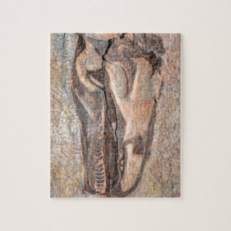 Camarasaurus-Schädel - Dinosaurier-nationales Puzzle