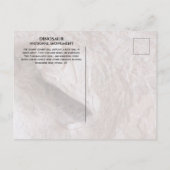 Camarasaurus Skull, Skeleton, Dinosaur Ntl. Park Postkarte (Rückseite)