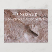 Camarasaurus Skull, Skeleton, Dinosaur Ntl. Park Postkarte (Vorderseite)