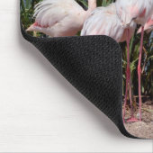 Camargue Flamingos Mousepad (Ecke)
