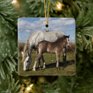Camargue-Fohlen mit Mutter Keramikornament