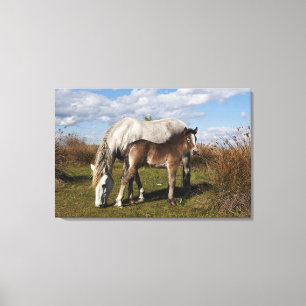 Camargue-Fohlen mit Mutter Leinwanddruck