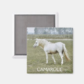 Camargue-Hengstmagnet Magnet (Vorderseite/Rückseite)