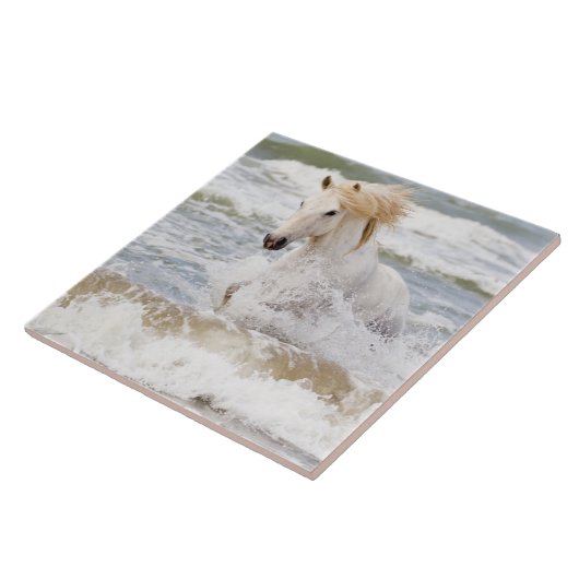 Camargue Horn im Surf Fliese (Seite)