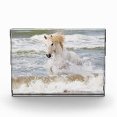 Camargue Horn im Surf Fotoblock (Vorderseite)