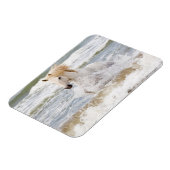 Camargue Horn im Surf Magnet (Linke Seite)