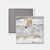 Camargue Horn im Surf Magnet (Vorderseite/Rückseite)