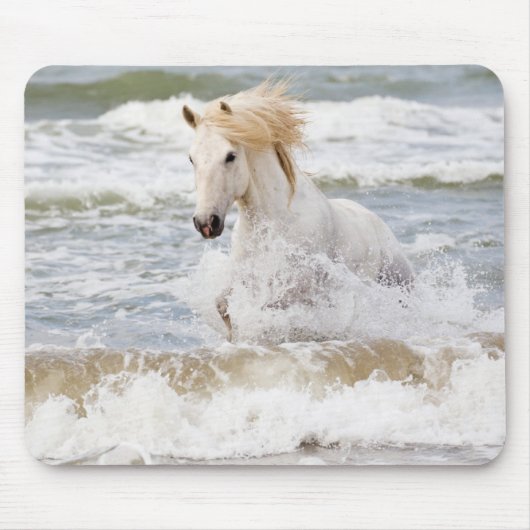 Camargue Horn im Surf Mousepad (Vorne)