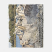 Camargue Horse Alte Rasse Frankreich Reittier Fleecedecke (Vorderseite)